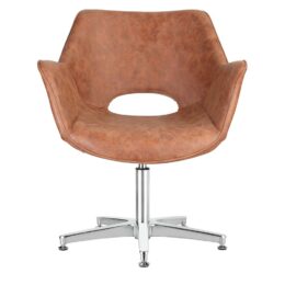 Salon Chairs